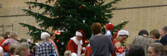 Juletræsfest 2014